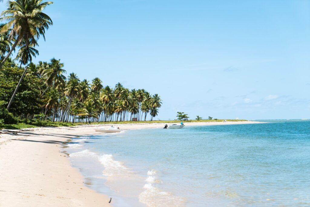 beach surrounded by trees